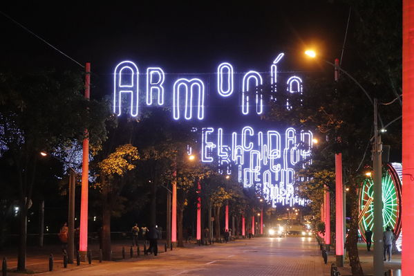 Alumbrado Navideño
Alumbrado Navideño
Fecha: Noviembre 30 de 2017
Para descargar esta fotografía en alta resolución, haga clic sobre la imagen hasta que la misma se despliegue en la pantalla completa; luego dé clic derecho y elija la opción "guardar imagen como". 
En caso de publicación por cualquier medio, solicitamos acompañarla del crédito: "Foto EPM"
Palabras clave: Alumbrado Navideño