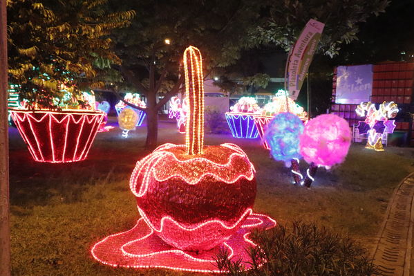 Alumbrado Navideño
Alumbrado Navideño
Fecha: Noviembre 30 de 2017
Para descargar esta fotografía en alta resolución, haga clic sobre la imagen hasta que la misma se despliegue en la pantalla completa; luego dé clic derecho y elija la opción "guardar imagen como". 
En caso de publicación por cualquier medio, solicitamos acompañarla del crédito: "Foto EPM"
Palabras clave: Alumbrado Navideño