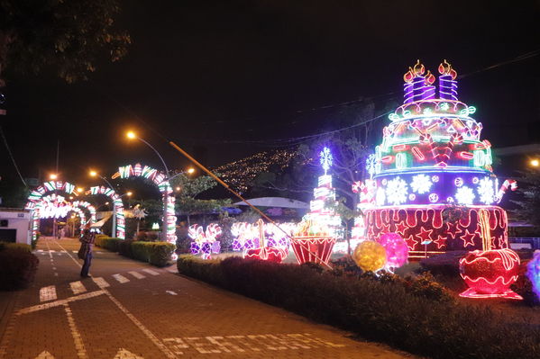 Alumbrado Navideño
Alumbrado Navideño
Fecha: Noviembre 30 de 2017
Para descargar esta fotografía en alta resolución, haga clic sobre la imagen hasta que la misma se despliegue en la pantalla completa; luego dé clic derecho y elija la opción "guardar imagen como". 
En caso de publicación por cualquier medio, solicitamos acompañarla del crédito: "Foto EPM"
Palabras clave: Alumbrado Navideño