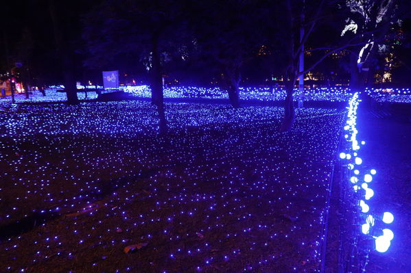 Alumbrado Navideño
Alumbrado Navideño
Fecha: Noviembre 30 de 2017
Para descargar esta fotografía en alta resolución, haga clic sobre la imagen hasta que la misma se despliegue en la pantalla completa; luego dé clic derecho y elija la opción "guardar imagen como". 
En caso de publicación por cualquier medio, solicitamos acompañarla del crédito: "Foto EPM"
Palabras clave: Alumbrado Navideño