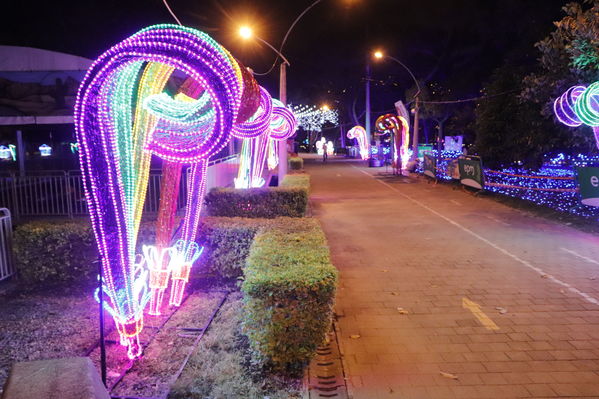 Alumbrado Navideño
Alumbrado Navideño
Fecha: Noviembre 30 de 2017
Para descargar esta fotografía en alta resolución, haga clic sobre la imagen hasta que la misma se despliegue en la pantalla completa; luego dé clic derecho y elija la opción "guardar imagen como". 
En caso de publicación por cualquier medio, solicitamos acompañarla del crédito: "Foto EPM"
Palabras clave: Alumbrado Navideño