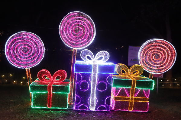 Alumbrado Navideño
Alumbrado Navideño
Fecha: Noviembre 30 de 2017
Para descargar esta fotografía en alta resolución, haga clic sobre la imagen hasta que la misma se despliegue en la pantalla completa; luego dé clic derecho y elija la opción "guardar imagen como". 
En caso de publicación por cualquier medio, solicitamos acompañarla del crédito: "Foto EPM"
Palabras clave: Alumbrado Navideño