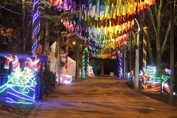 Alumbrado Navideño
Alumbrado Navideño
Fecha: Noviembre 30 de 2017
Para descargar esta fotografía en alta resolución, haga clic sobre la imagen hasta que la misma se despliegue en la pantalla completa; luego dé clic derecho y elija la opción "guardar imagen como". 
En caso de publicación por cualquier medio, solicitamos acompañarla del crédito: "Foto EPM"
Palabras clave: Alumbrado Navideño