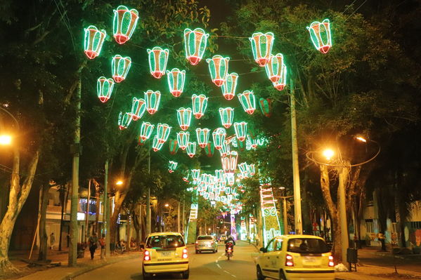 Alumbrado Navideño
Alumbrado Navideño
Fecha: Noviembre 30 de 2017
Para descargar esta fotografía en alta resolución, haga clic sobre la imagen hasta que la misma se despliegue en la pantalla completa; luego dé clic derecho y elija la opción "guardar imagen como". 
En caso de publicación por cualquier medio, solicitamos acompañarla del crédito: "Foto EPM"
Palabras clave: Alumbrado Navideño