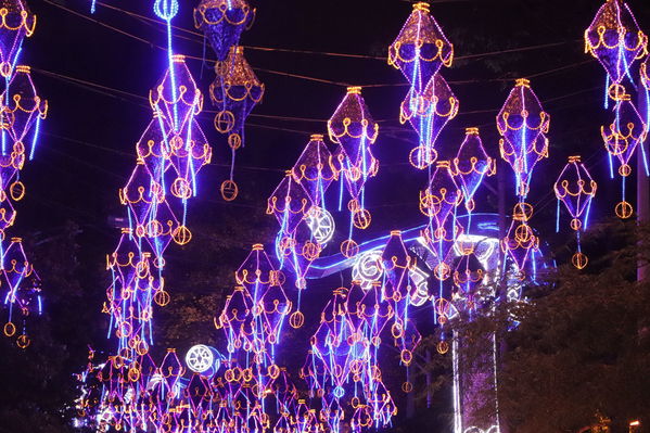 Alumbrado Navideño
Alumbrado Navideño
Fecha: Noviembre 30 de 2017
Para descargar esta fotografía en alta resolución, haga clic sobre la imagen hasta que la misma se despliegue en la pantalla completa; luego dé clic derecho y elija la opción "guardar imagen como". 
En caso de publicación por cualquier medio, solicitamos acompañarla del crédito: "Foto EPM"
Palabras clave: Alumbrado Navideño