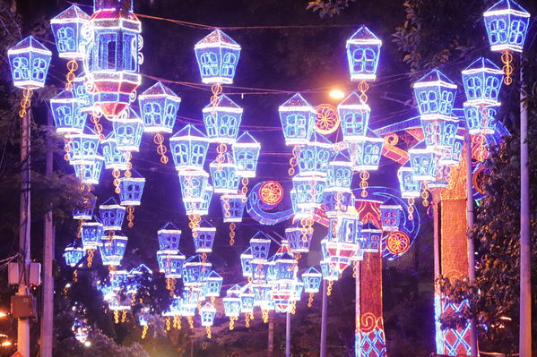 Alumbrado Navideño
Alumbrado Navideño
Fecha: Noviembre 30 de 2017
Para descargar esta fotografía en alta resolución, haga clic sobre la imagen hasta que la misma se despliegue en la pantalla completa; luego dé clic derecho y elija la opción "guardar imagen como". 
En caso de publicación por cualquier medio, solicitamos acompañarla del crédito: "Foto EPM"
Palabras clave: Alumbrado Navideño