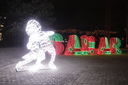 Filename=_MG_3645.JPG
Filesize=2036KiB
Dimensions=5000x3333
Date added=Dec 01, 2017 _MG_3645.JPG