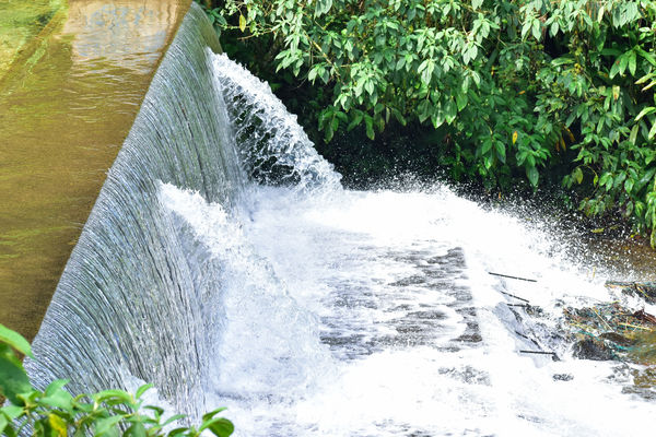 Recorrido Caminos Agua lideres comunitarios Saneamiento Norte
Recorrido de "Los Caminos del Agua" con lideres comunitarios Saneamiento Norte
Fecha: Noviembre 30 de 2019
Para descargar esta fotografía en alta resolución, haga clic sobre la imagen hasta que la misma se despliegue en la pantalla completa; luego dé clic derecho y elija la opción "guardar imagen como".
En caso de publicación por cualquier medio, solicitamos acompañarla del crédito: "Foto EPM"
Palabras clave: Recorrido Caminos Agua lideres comunitarios Saneamiento Norte