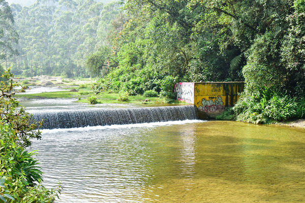 Recorrido Caminos Agua lideres comunitarios Saneamiento Norte
Recorrido de "Los Caminos del Agua" con lideres comunitarios Saneamiento Norte
Fecha: Noviembre 30 de 2019
Para descargar esta fotografía en alta resolución, haga clic sobre la imagen hasta que la misma se despliegue en la pantalla completa; luego dé clic derecho y elija la opción "guardar imagen como".
En caso de publicación por cualquier medio, solicitamos acompañarla del crédito: "Foto EPM"
Palabras clave: Recorrido Caminos Agua lideres comunitarios Saneamiento Norte