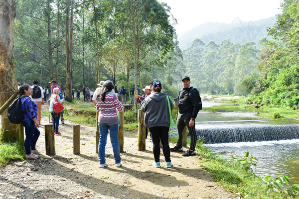 Recorrido Caminos Agua lideres comunitarios Saneamiento Norte
Recorrido de "Los Caminos del Agua" con lideres comunitarios Saneamiento Norte
Fecha: Noviembre 30 de 2019
Para descargar esta fotografía en alta resolución, haga clic sobre la imagen hasta que la misma se despliegue en la pantalla completa; luego dé clic derecho y elija la opción "guardar imagen como".
En caso de publicación por cualquier medio, solicitamos acompañarla del crédito: "Foto EPM"
Palabras clave: Recorrido Caminos Agua lideres comunitarios Saneamiento Norte