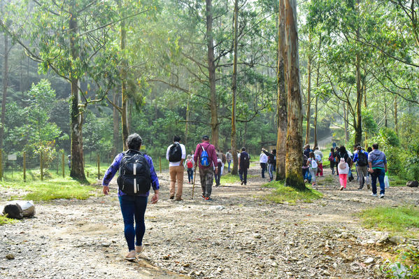 Recorrido Caminos Agua lideres comunitarios Saneamiento Norte
Recorrido de "Los Caminos del Agua" con lideres comunitarios Saneamiento Norte
Fecha: Noviembre 30 de 2019
Para descargar esta fotografía en alta resolución, haga clic sobre la imagen hasta que la misma se despliegue en la pantalla completa; luego dé clic derecho y elija la opción "guardar imagen como".
En caso de publicación por cualquier medio, solicitamos acompañarla del crédito: "Foto EPM"
Palabras clave: Recorrido Caminos Agua lideres comunitarios Saneamiento Norte