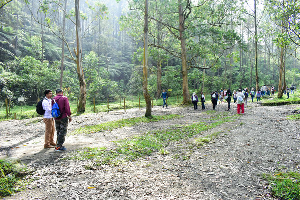 Recorrido Caminos Agua lideres comunitarios Saneamiento Norte
Recorrido de "Los Caminos del Agua" con lideres comunitarios Saneamiento Norte
Fecha: Noviembre 30 de 2019
Para descargar esta fotografía en alta resolución, haga clic sobre la imagen hasta que la misma se despliegue en la pantalla completa; luego dé clic derecho y elija la opción "guardar imagen como".
En caso de publicación por cualquier medio, solicitamos acompañarla del crédito: "Foto EPM"
Palabras clave: Recorrido Caminos Agua lideres comunitarios Saneamiento Norte