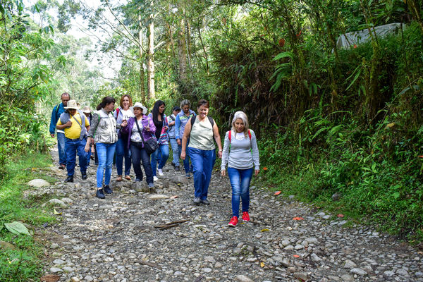 Recorrido Caminos Agua lideres comunitarios Saneamiento Norte
Recorrido de "Los Caminos del Agua" con lideres comunitarios Saneamiento Norte
Fecha: Noviembre 30 de 2019
Para descargar esta fotografía en alta resolución, haga clic sobre la imagen hasta que la misma se despliegue en la pantalla completa; luego dé clic derecho y elija la opción "guardar imagen como".
En caso de publicación por cualquier medio, solicitamos acompañarla del crédito: "Foto EPM"
Palabras clave: Recorrido Caminos Agua lideres comunitarios Saneamiento Norte