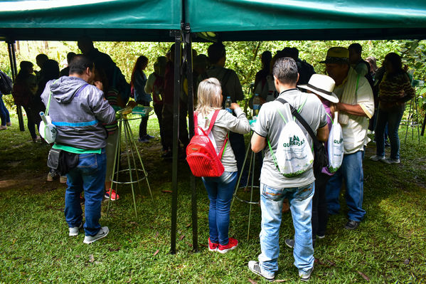 Recorrido Caminos Agua lideres comunitarios Saneamiento Norte
Recorrido de "Los Caminos del Agua" con lideres comunitarios Saneamiento Norte
Fecha: Noviembre 30 de 2019
Para descargar esta fotografía en alta resolución, haga clic sobre la imagen hasta que la misma se despliegue en la pantalla completa; luego dé clic derecho y elija la opción "guardar imagen como".
En caso de publicación por cualquier medio, solicitamos acompañarla del crédito: "Foto EPM"
Palabras clave: Recorrido Caminos Agua lideres comunitarios Saneamiento Norte