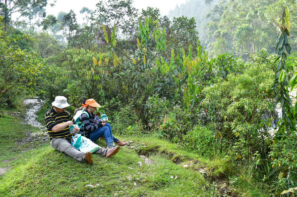 Recorrido Caminos Agua lideres comunitarios Saneamiento Norte
Recorrido de "Los Caminos del Agua" con lideres comunitarios Saneamiento Norte
Fecha: Noviembre 30 de 2019
Para descargar esta fotografía en alta resolución, haga clic sobre la imagen hasta que la misma se despliegue en la pantalla completa; luego dé clic derecho y elija la opción "guardar imagen como".
En caso de publicación por cualquier medio, solicitamos acompañarla del crédito: "Foto EPM"
Palabras clave: Recorrido Caminos Agua lideres comunitarios Saneamiento Norte