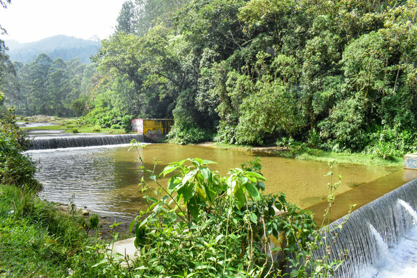 Recorrido Caminos Agua lideres comunitarios Saneamiento Norte
Recorrido de "Los Caminos del Agua" con lideres comunitarios Saneamiento Norte
Fecha: Noviembre 30 de 2019
Para descargar esta fotografía en alta resolución, haga clic sobre la imagen hasta que la misma se despliegue en la pantalla completa; luego dé clic derecho y elija la opción "guardar imagen como".
En caso de publicación por cualquier medio, solicitamos acompañarla del crédito: "Foto EPM"
Palabras clave: Recorrido Caminos Agua lideres comunitarios Saneamiento Norte