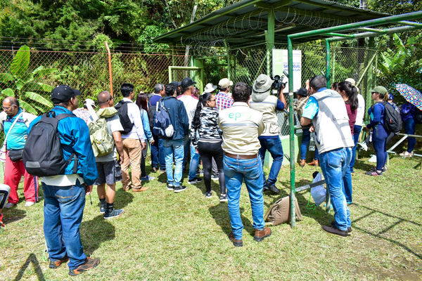 Recorrido de "Los Caminos del Agua" con lideres comunitarios Saneamiento Norte
Fecha: Noviembre 30 de 2019
Para descargar esta fotografía en alta resolución, haga clic sobre la imagen hasta que la misma se despliegue en la pantalla completa; luego dé clic derecho y elija la opción "guardar imagen como".
En caso de publicación por cualquier medio, solicitamos acompañarla del crédito: "Foto EPM"

