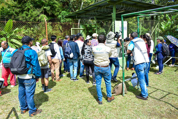 Recorrido de "Los Caminos del Agua" con lideres comunitarios Saneamiento Norte
Fecha: Noviembre 30 de 2019
Para descargar esta fotografía en alta resolución, haga clic sobre la imagen hasta que la misma se despliegue en la pantalla completa; luego dé clic derecho y elija la opción "guardar imagen como".
En caso de publicación por cualquier medio, solicitamos acompañarla del crédito: "Foto EPM"
