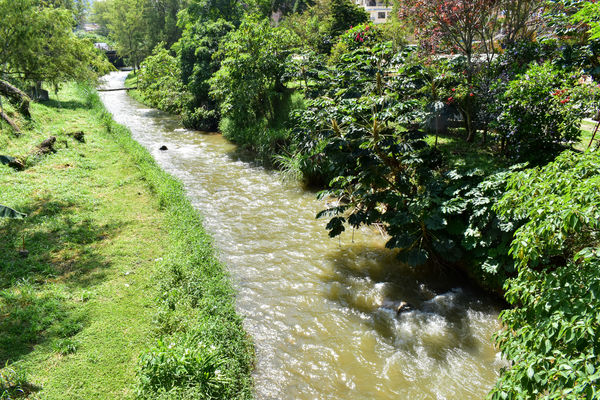 Recorrido de "Los Caminos del Agua" con lideres comunitarios Saneamiento Norte
Fecha: Noviembre 30 de 2019
Para descargar esta fotografía en alta resolución, haga clic sobre la imagen hasta que la misma se despliegue en la pantalla completa; luego dé clic derecho y elija la opción "guardar imagen como".
En caso de publicación por cualquier medio, solicitamos acompañarla del crédito: "Foto EPM"
