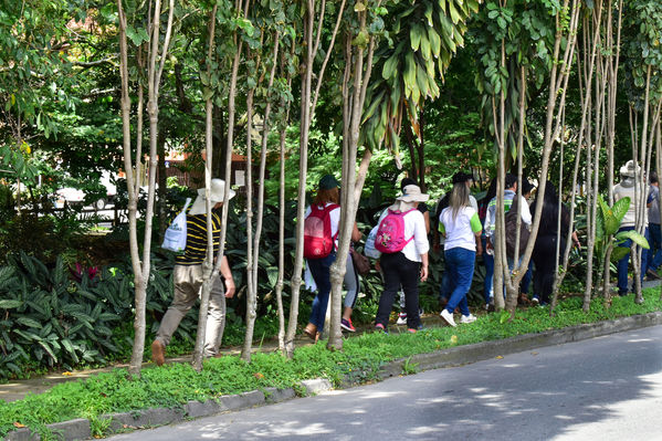 Recorrido de "Los Caminos del Agua" con lideres comunitarios Saneamiento Norte
Fecha: Noviembre 30 de 2019
Para descargar esta fotografía en alta resolución, haga clic sobre la imagen hasta que la misma se despliegue en la pantalla completa; luego dé clic derecho y elija la opción "guardar imagen como".
En caso de publicación por cualquier medio, solicitamos acompañarla del crédito: "Foto EPM"
