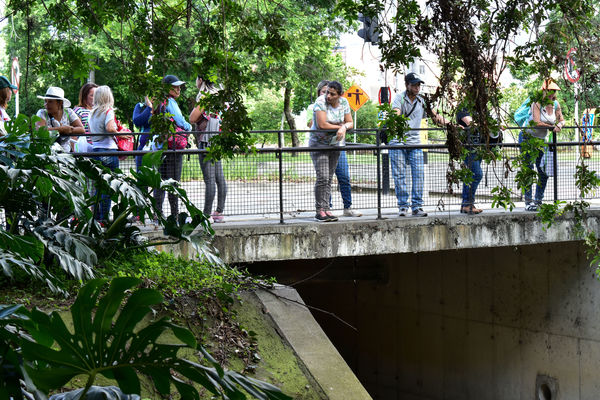 Recorrido de "Los Caminos del Agua" con lideres comunitarios Saneamiento Norte
Fecha: Noviembre 30 de 2019
Para descargar esta fotografía en alta resolución, haga clic sobre la imagen hasta que la misma se despliegue en la pantalla completa; luego dé clic derecho y elija la opción "guardar imagen como".
En caso de publicación por cualquier medio, solicitamos acompañarla del crédito: "Foto EPM"
