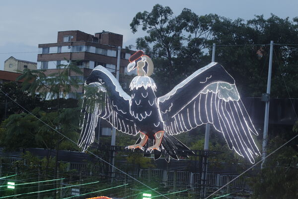 Encendido Navideño 2020
Encendido Navideño 2020.
Fecha: Noviembre 30 2020.
Para descargar esta fotografía en alta resolución, haga clic sobre la imagen hasta que la misma se despliegue en la pantalla completa; luego dé clic derecho y elija la opción "guardar imagen como". 
En caso de publicación por cualquier medio, solicitamos acompañarla del crédito: "Foto EPM" 
Palabras clave: Encendido Navideño 2020