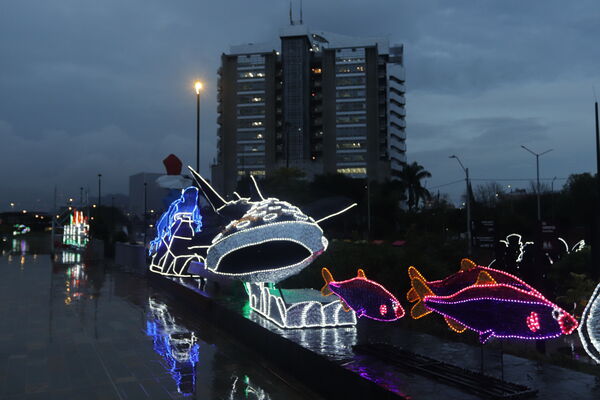 Encendido Navideño 2020
Encendido Navideño 2020.
Fecha: Noviembre 30 2020.
Para descargar esta fotografía en alta resolución, haga clic sobre la imagen hasta que la misma se despliegue en la pantalla completa; luego dé clic derecho y elija la opción "guardar imagen como". 
En caso de publicación por cualquier medio, solicitamos acompañarla del crédito: "Foto EPM" 
Palabras clave: Encendido Navideño 2020