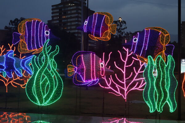 Encendido Navideño 2020
Encendido Navideño 2020.
Fecha: Noviembre 30 2020.
Para descargar esta fotografía en alta resolución, haga clic sobre la imagen hasta que la misma se despliegue en la pantalla completa; luego dé clic derecho y elija la opción "guardar imagen como". 
En caso de publicación por cualquier medio, solicitamos acompañarla del crédito: "Foto EPM" 
Palabras clave: Encendido Navideño 2020