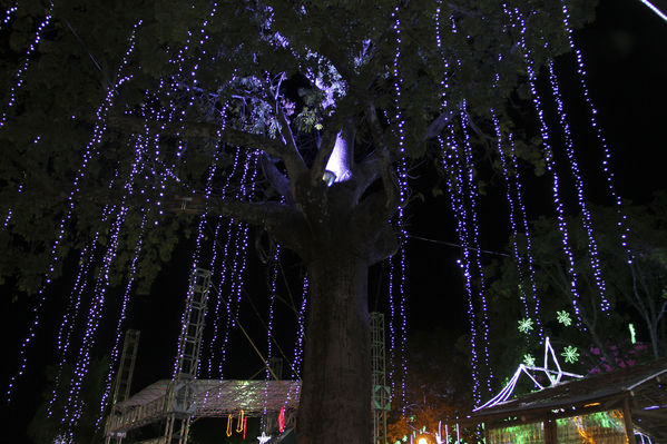 Encendido alumbrado navideño. Santafé de Antioquia
Encendido alumbrado navideño. Santafé de Antioquia
Fecha: Noviembre 30 de 2013. Lugar: Santafé de Antioquia
Para descargar esta fotografía en alta resolución, haga clic sobre la imagen hasta que la misma se despliegue en la pantalla completa; luego dé clic derecho y elija la opción "guardar imagen como". 
En caso de publicación por cualquier medio, solicitamos acompañarla del crédito: "Foto EPM"

Palabras clave: Encendido alumbrado navideño Santafé Antioquia
