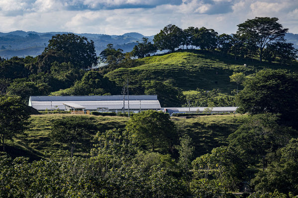 Seguridad trabajo Termoeléctrica Sierra Puerto Nare
Seguridad en el trabajo Termoeléctrica La Sierra Puerto Nare. 
Fecha: Noviembre 5 2019. 
Para descargar esta fotografía en alta resolución, haga clic sobre la imagen hasta que la misma se despliegue en la pantalla completa; luego dé clic derecho y elija la opción "guardar imagen como". 
En caso de publicación por cualquier medio, solicitamos acompañarla del crédito: "Foto EPM"
Palabras clave: Seguridad trabajo Termoeléctrica Sierra Puerto Nare
