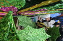 Nombre del archivo=IMG_4659.JPG
Tamaño del archivo=2568KiB
Dimensiones=5000x3333
Fecha añadida=Octubre 14, 2016 IMG_4659.JPG