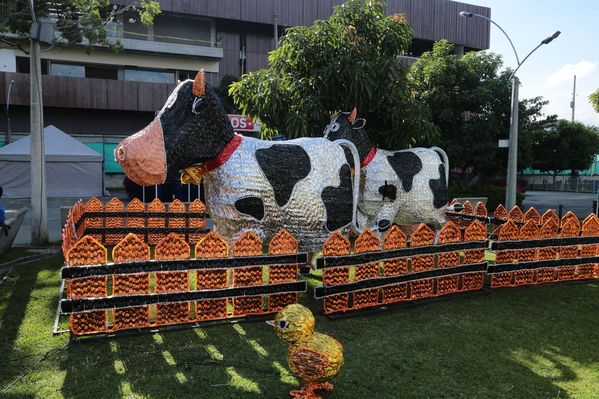 Rueda de prensa del Alumbrado Navideño 2016
Rueda de prensa del Alumbrado Navideño 2016
Fecha: Octubre 21 de 2016
Para descargar esta fotografía en alta resolución, haga clic sobre la imagen hasta que la misma se despliegue en la pantalla completa; luego dé clic derecho y elija la opción "guardar imagen como". 
En caso de publicación por cualquier medio, solicitamos acompañarla del crédito: "Foto EPM"
Palabras clave: Rueda prensa Alumbrado Navideño 2016