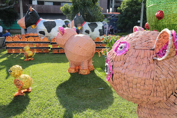 Rueda de prensa del Alumbrado Navideño 2016
Rueda de prensa del Alumbrado Navideño 2016
Fecha: Octubre 21 de 2016
Para descargar esta fotografía en alta resolución, haga clic sobre la imagen hasta que la misma se despliegue en la pantalla completa; luego dé clic derecho y elija la opción "guardar imagen como". 
En caso de publicación por cualquier medio, solicitamos acompañarla del crédito: "Foto EPM"
Palabras clave: Rueda prensa Alumbrado Navideño 2016