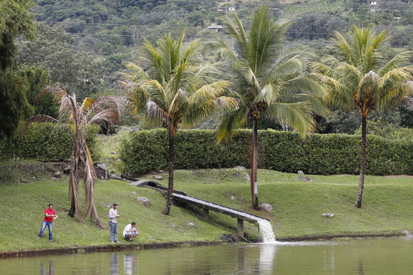 Feria de la Familia Norte, Nordeste y Magdalena Medio
Feria de la Familia Norte, Nordeste y Magdalena Medio
Fecha: Octubre 29 de 2016
Para descargar esta fotografía en alta resolución, haga clic sobre la imagen hasta que la misma se despliegue en la pantalla completa; luego dé clic derecho y elija la opción "guardar imagen como". 
En caso de publicación por cualquier medio, solicitamos acompañarla del crédito: "Foto EPM"
Palabras clave: Feria Familia Norte Nordeste Magdalena Medio