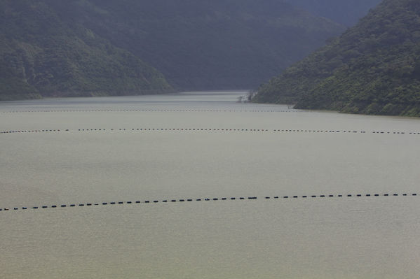 Invitación medios recorrido proyecto hidroeléctrico Ituango
Invitación medios recorrido proyecto hidroeléctrico Ituango.
Fecha: Octubre 10 2018
Para descargar esta fotografía en alta resolución, haga clic sobre la imagen hasta que la misma se despliegue en la pantalla completa; luego dé clic derecho y elija la opción "guardar imagen como". 
En caso de publicación por cualquier medio, solicitamos acompañarla del crédito: "Foto EPM"
Palabras clave: Invitación medios recorrido proyecto hidroeléctrico Ituango