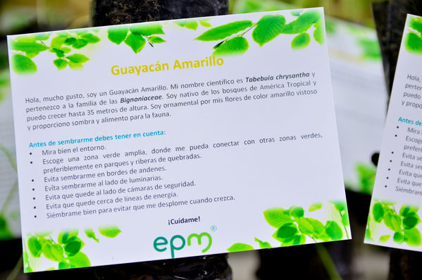 Entrega Árboles AMVA Rueda Prensa
Entrega Árboles AMVA Rueda Prensa.
Fecha: Octubre 11 2019.
Para descargar esta fotografía en alta resolución, haga clic sobre la imagen hasta que la misma se despliegue en la pantalla completa; luego dé clic derecho y elija la opción "guardar imagen como". 
En caso de publicación por cualquier medio, solicitamos acompañarla del crédito: "Foto EPM"
Palabras clave: Entrega Árboles AMVA Rueda Prensa