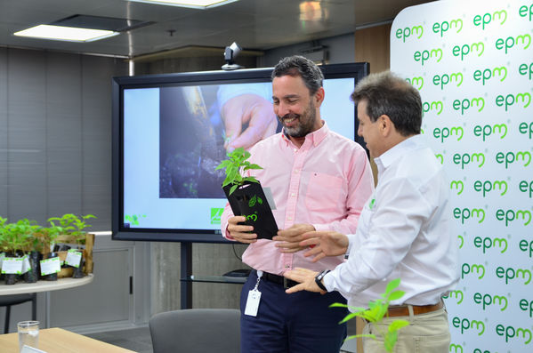 Entrega Árboles AMVA Rueda Prensa
Entrega Árboles AMVA Rueda Prensa.
Fecha: Octubre 11 2019.
Para descargar esta fotografía en alta resolución, haga clic sobre la imagen hasta que la misma se despliegue en la pantalla completa; luego dé clic derecho y elija la opción "guardar imagen como". 
En caso de publicación por cualquier medio, solicitamos acompañarla del crédito: "Foto EPM"
Palabras clave: Entrega Árboles AMVA Rueda Prensa
