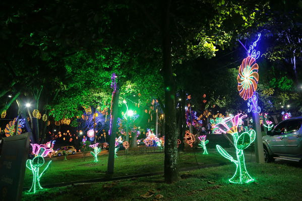 Alumbrado Navideño Parque Robledo
Palabras clave: Alumbrado Navideño Parque Robledo