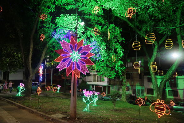 Alumbrado Navideño Parque Robledo
Palabras clave: Alumbrado Navideño Parque Robledo