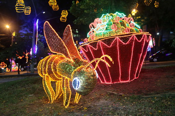 Alumbrado Navideño Parque Robledo
Palabras clave: Alumbrado Navideño Parque Robledo