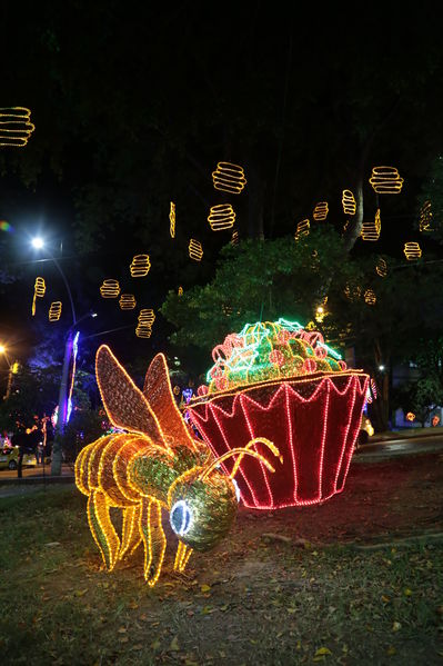 Alumbrado Navideño Parque Robledo
Palabras clave: Alumbrado Navideño Parque Robledo