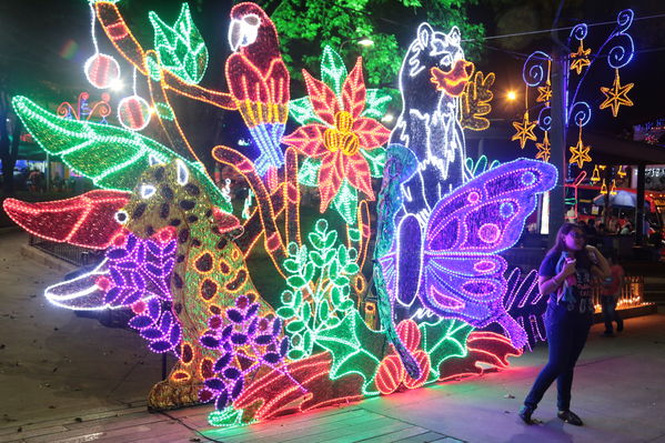 Alumbrado Navideño Parque Villa Hermosa 
Palabras clave: Alumbrado Navideño Parque Villa Hermosa