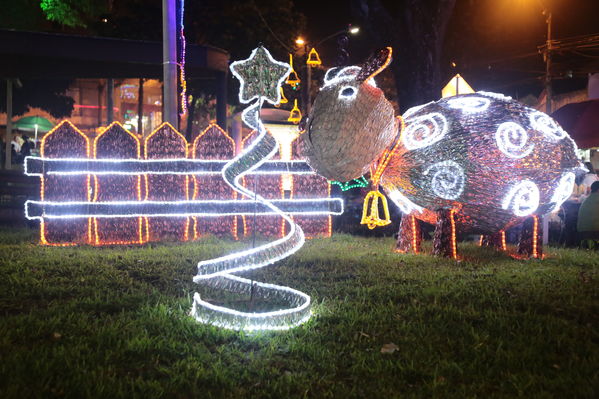 Alumbrado Navideño Parque Villa Hermosa 
Palabras clave: Alumbrado Navideño Parque Villa Hermosa