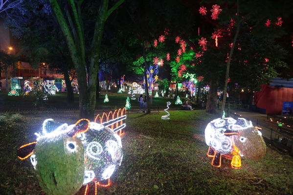 Alumbrado Navideño Parque Villa Hermosa 
Palabras clave: Alumbrado Navideño Parque Villa Hermosa