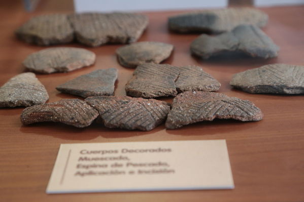 Muestra de arqueología centro parrilla
Muestra de arqueología centro parrilla
Fecha: 19 Septiembre 2017
Para descargar esta fotografía en alta resolución, haga clic sobre la imagen hasta que la misma se despliegue en la pantalla completa; luego dé clic derecho y elija la opción "guardar imagen como". 
En caso de publicación por cualquier medio, solicitamos acompañarla del crédito: "Foto EPM"
Palabras clave: Muestra  arqueología centro parrilla