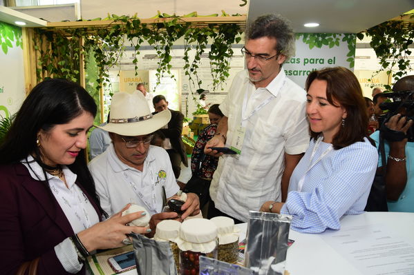 Visita de Martín Santiago Herrero, PNUD
Visita de Martín Santiago Herrero, PNUD
Fecha: Septiembre 14 de 2017
Para descargar esta fotografía en alta resolución, haga clic sobre la imagen hasta que la misma se despliegue en la pantalla completa; luego dé clic derecho y elija la opción "guardar imagen como". 
En caso de publicación por cualquier medio, solicitamos acompañarla del crédito: "Foto EPM"
Palabras clave: Visita Martín Santiago Herrero PNUD convenio