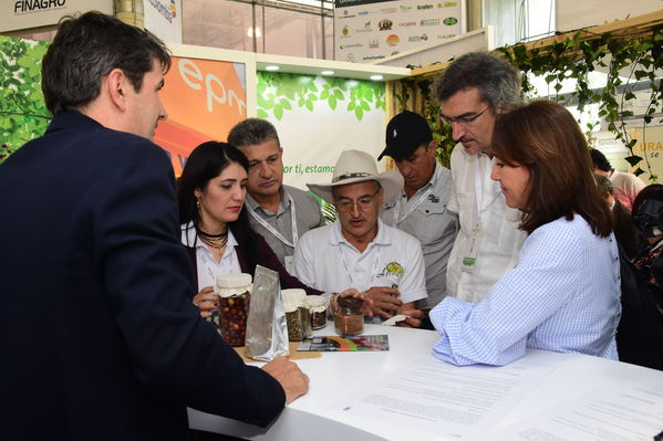 Visita de Martín Santiago Herrero, PNUD
Visita de Martín Santiago Herrero, PNUD
Fecha: Septiembre 14 de 2017
Para descargar esta fotografía en alta resolución, haga clic sobre la imagen hasta que la misma se despliegue en la pantalla completa; luego dé clic derecho y elija la opción "guardar imagen como". 
En caso de publicación por cualquier medio, solicitamos acompañarla del crédito: "Foto EPM"
Palabras clave: Visita Martín Santiago Herrero PNUD convenio