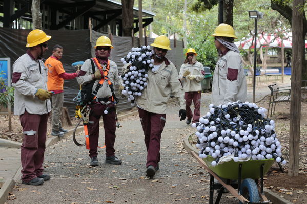 Montaje del Alumbrado navideño Medellin 2019
Montaje del Alumbrado navideño Medellin 2019
Fecha: 2 septiembre 2019.
Para descargar esta fotografía en alta resolución, haga clic sobre la imagen hasta que la misma se despliegue en la pantalla completa; luego dé clic derecho y elija la opción "guardar imagen como". 
En caso de publicación por cualquier medio, solicitamos acompañarla del crédito: "Foto EPM"
Palabras clave: Montaje del Alumbrado navideño Medellin 2019