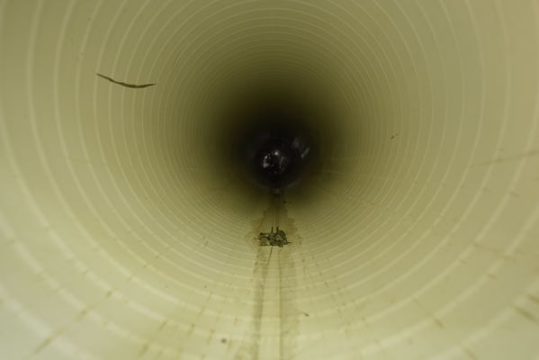 proyecto de saneamiento Valle de Aburrá
proyecto de saneamiento Valle de Aburrá
Abril 19 2018
Para descargar esta fotografía en alta resolución, haga clic sobre la imagen hasta que la misma se despliegue en la pantalla completa; luego dé clic derecho y elija la opción "guardar imagen como". 
En caso de publicación por cualquier medio, solicitamos acompañarla del crédito: "Foto EPM"
Palabras clave: proyecto de saneamiento Valle de Aburrá