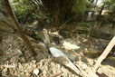 Nombre del archivo=_ALE7402.JPG
Tamaño del archivo=2250KiB
Dimensiones=3680x2456
Fecha añadida=Mayo 03, 2018 _ALE7402.JPG